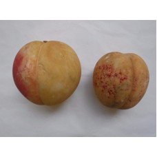 2pc Two Vintage Alabaster Stone Fruit Apricot Peach   292675121527